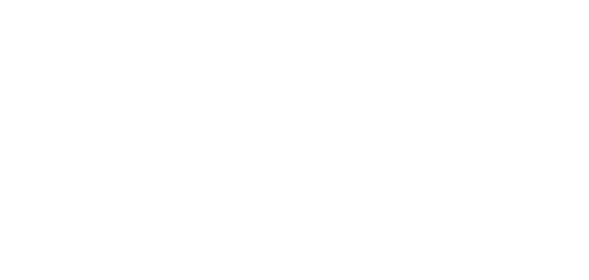 Felipe Hissa
